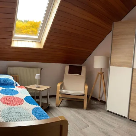 Apartment Mit Grosser Dachterrasse By Interhome